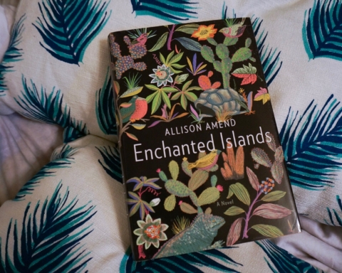 enchanted islands allison amend review